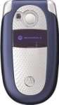 Motorola V500 price & specification