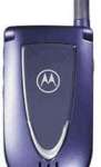 Motorola V66 price & specification