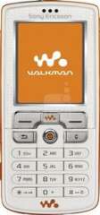 Sony Ericsson W800